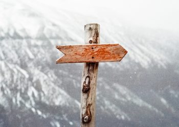 Photo by Jens Johnsson from Pexels