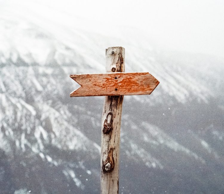 Photo by Jens Johnsson from Pexels