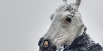 Photo by Alexas Fotos from Pexels: https://www.pexels.com/photo/white-horse-wearing-black-leather-zip-up-jacket-2315712/