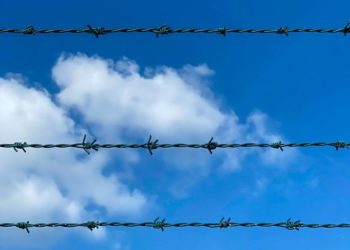 Photo by Aleksandar Pasaric from Pexels