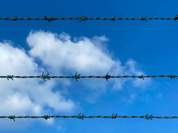 Photo by Aleksandar Pasaric from Pexels