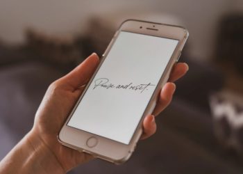 Photo by Castorly Stock from Pexels