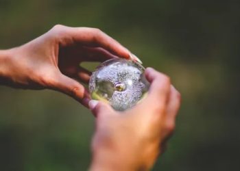 Photo by Kaboompics .com from Pexels