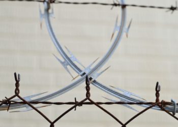Photo by Miguel Á. Padriñán from Pexels