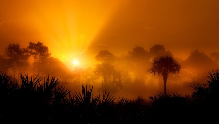 Photo by Ray Bilcliff from Pexels