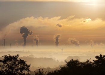 https://www.ecolife.zone/carbon-offsetting/