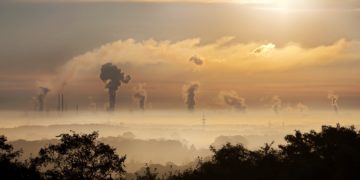 https://www.ecolife.zone/carbon-offsetting/
