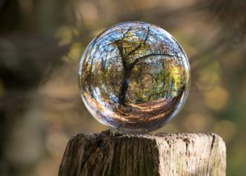 Photo by Pixabay from Pexels