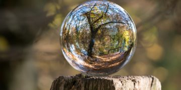 Photo by Pixabay from Pexels