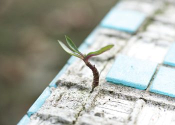 Photo by Engin Akyurt from Pexels