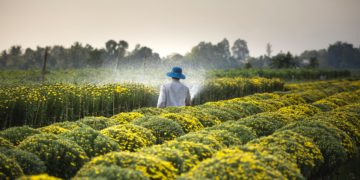 Photo by Quang Nguyen Vinh from Pexels