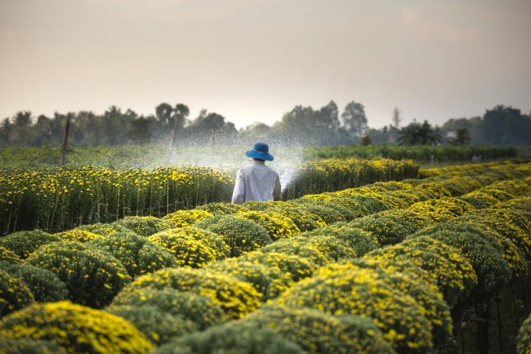 Photo by Quang Nguyen Vinh from Pexels