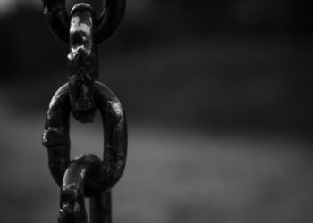 Photo by lalesh aldarwish from Pexels