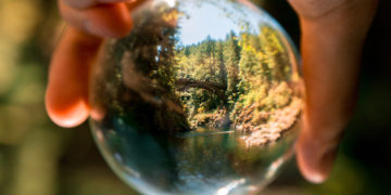 Photo by Arthur Ogleznev from Pexels: https://www.pexels.com/photo/person-holding-clear-glass-ball-1296265/