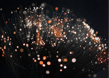 Image source: https://www.pexels.com/photo/macro-photography-of-orange-fiber-optic-lamp-3363556/