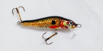 Image source: https://www.pexels.com/photo/orange-and-black-fish-bait-on-white-surface-6478090/