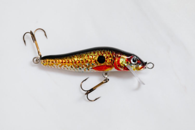 Image source: https://www.pexels.com/photo/orange-and-black-fish-bait-on-white-surface-6478090/