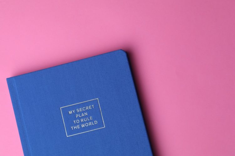 Photo by Ann H: https://www.pexels.com/photo/my-secret-plan-to-rule-the-world-book-1765033/