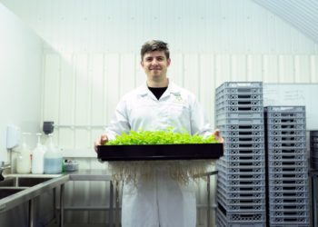Photo by ThisIsEngineering from Pexels: https://www.pexels.com/photo/scientist-holding-crops-in-laboratory-3912518/
