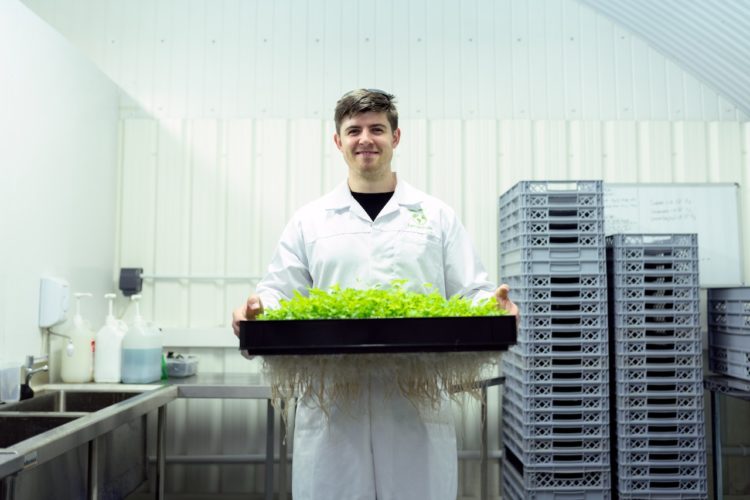 Photo by ThisIsEngineering from Pexels: https://www.pexels.com/photo/scientist-holding-crops-in-laboratory-3912518/