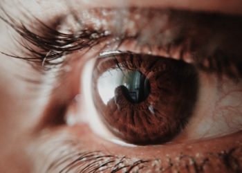 Photo by Subin: https://www.pexels.com/photo/brown-human-eye-946727/