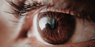 Photo by Subin: https://www.pexels.com/photo/brown-human-eye-946727/