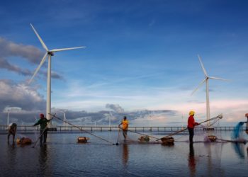 Photo by Tran Le Tuan: https://www.pexels.com/photo/photo-of-fishermen-working-near-wind-turbines-10031163/