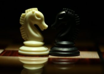 Photo by Syed Hasan Mehdi: https://www.pexels.com/photo/two-white-and-black-chess-knights-facing-each-other-on-chess-board-839428/