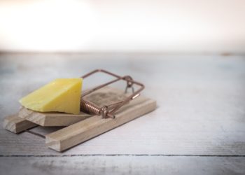 Photo by Skitterphoto: https://www.pexels.com/photo/brown-wooden-mouse-trap-with-cheese-bait-on-top-633881/