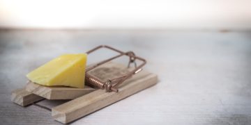 Photo by Skitterphoto: https://www.pexels.com/photo/brown-wooden-mouse-trap-with-cheese-bait-on-top-633881/