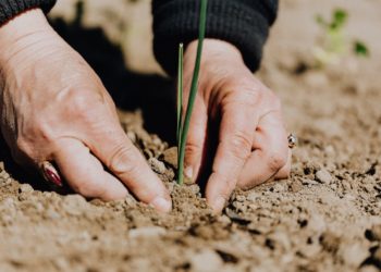Photo by Karolina Grabowska: https://www.pexels.com/photo/faceless-woman-working-with-soil-in-garden-4207908/