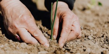 Photo by Karolina Grabowska: https://www.pexels.com/photo/faceless-woman-working-with-soil-in-garden-4207908/
