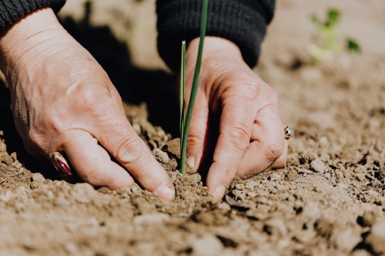 Photo by Karolina Grabowska: https://www.pexels.com/photo/faceless-woman-working-with-soil-in-garden-4207908/