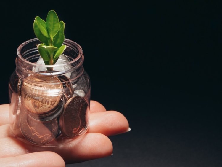 Photo by Kindel Media: https://www.pexels.com/photo/person-holding-clear-glass-jar-with-green-plant-6775160/