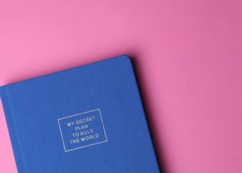 Photo by Ann H: https://www.pexels.com/photo/my-secret-plan-to-rule-the-world-book-1765033/