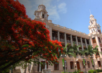 Photo from www.hku.hk