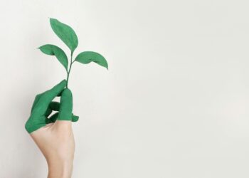 Photo by Alena Koval: https://www.pexels.com/photo/person-s-left-hand-holding-green-leaf-plant-886521/