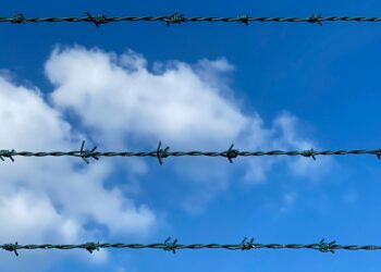 Photo by Aleksandar Pasaric from Pexels: https://www.pexels.com/photo/photo-of-barbed-wires-3370580/