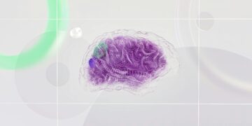Photo by Google DeepMind: https://www.pexels.com/photo/an-artist-s-illustration-of-artificial-intelligence-ai-this-image-represents-how-machine-learning-is-inspired-by-neuroscience-and-the-human-brain-it-was-created-by-novoto-studio-as-par-17483868/