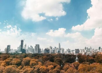 Photo by jimmy teoh: https://www.pexels.com/photo/brown-trees-under-white-and-blue-cloudy-sky-2411747/