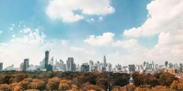 Photo by jimmy teoh: https://www.pexels.com/photo/brown-trees-under-white-and-blue-cloudy-sky-2411747/